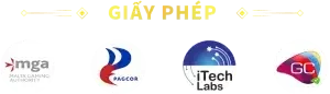 Giấy phép nohu90